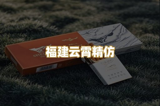福建云霄精仿